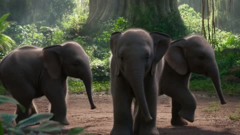 Tiny Elephants Dance in Perfect Harmony in the Heart of the Jungle