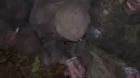 💥🔴 Ukraine Russia War | Ukrainian Brigade Captures Russian Invaders in Pokrovsk | RCF