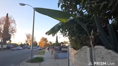 🪀yoYo🪀 P3 THE AFTERMATH, SCRIBBLES, WHO WAS ARRESTED? 11-28-25