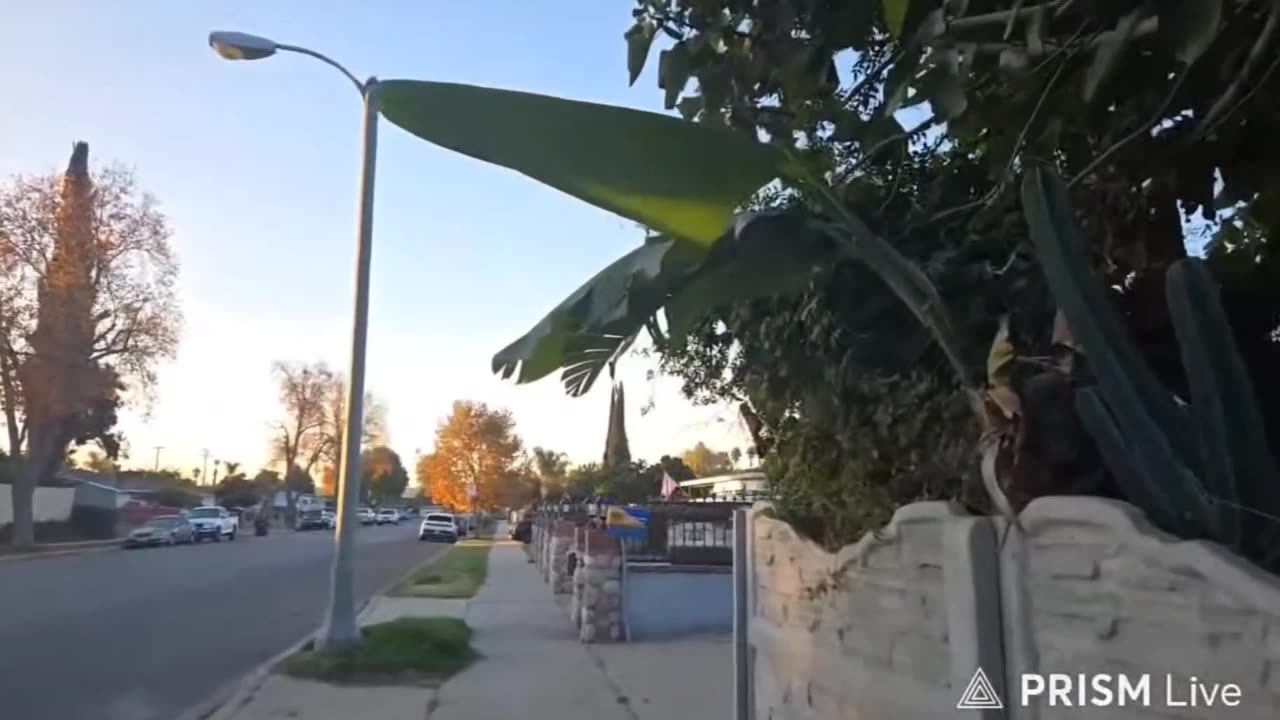 🪀yoYo🪀 P3 THE AFTERMATH, SCRIBBLES, WHO WAS ARRESTED? 11-28-25