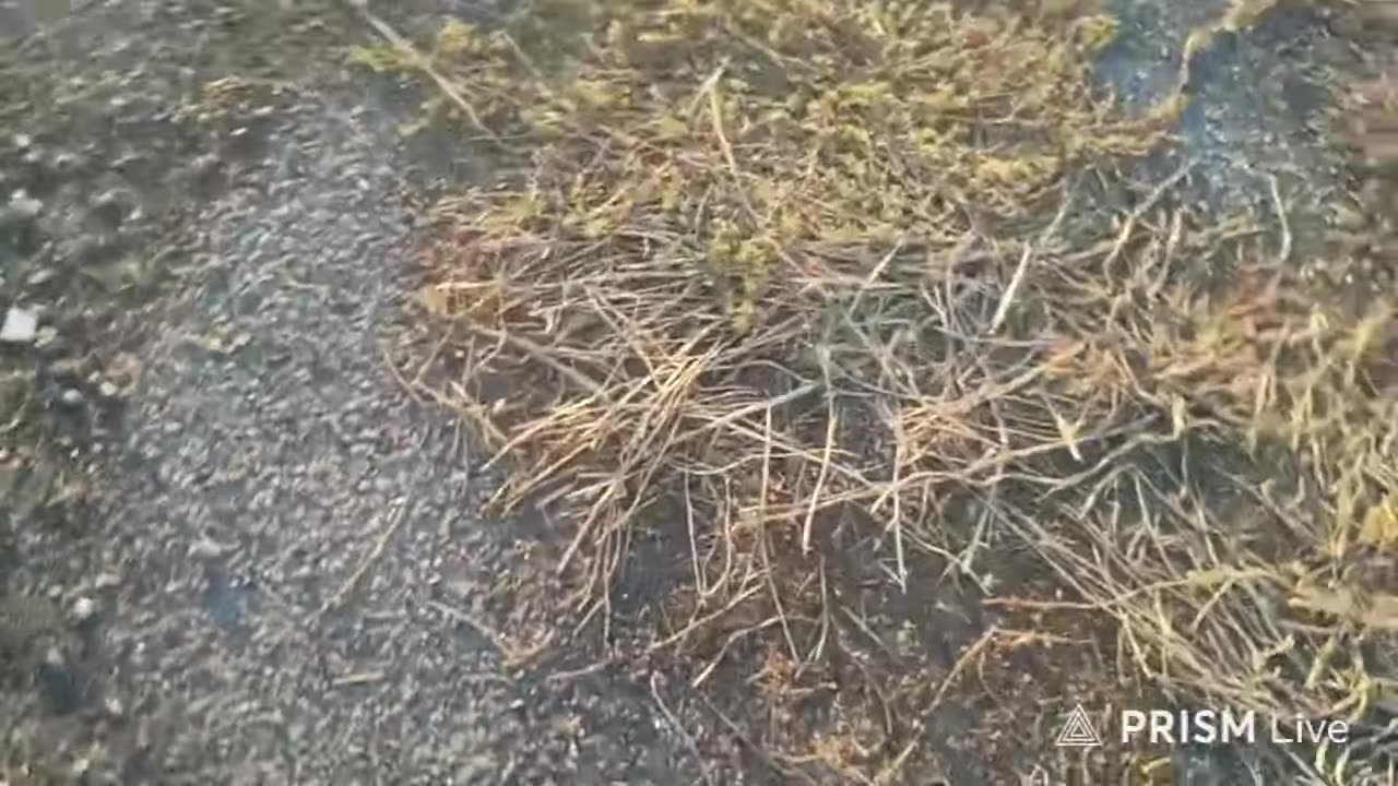 08/24/25 Q45 VOD: "smoke one"