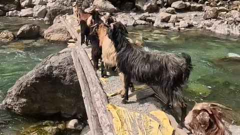 himalayas
