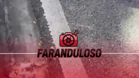 Agarran Preso a Topo Point