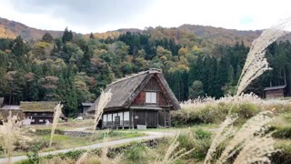 Relaxing rootflute Music and lofi music with Japan ambience