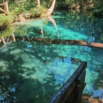 Paradise (via:@francieleborba5)