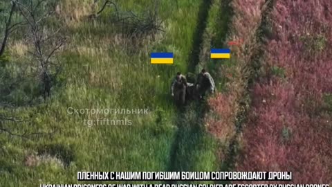 War in ukraine