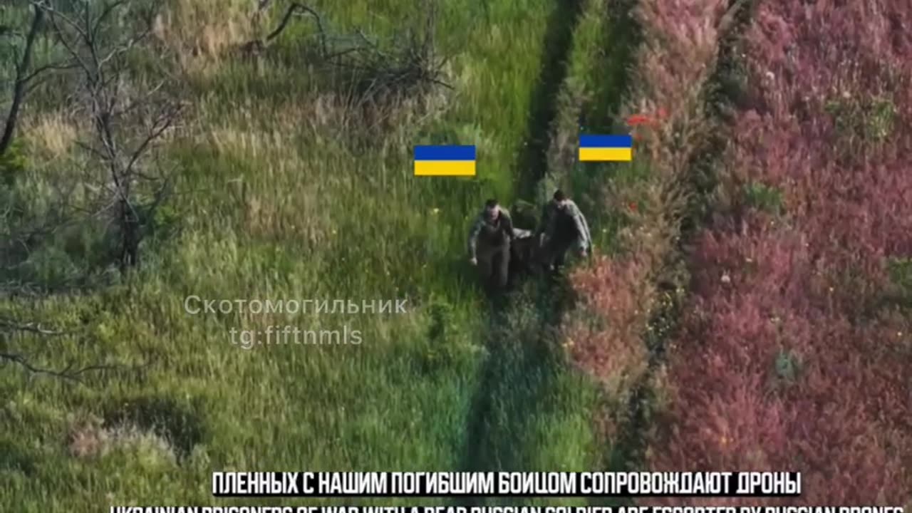 War in ukraine
