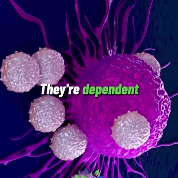 Cancer Is Largely Preventable—Here’s the Science-Backed Solution