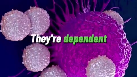 Cancer Is Largely Preventable—Here’s the Science-Backed Solution