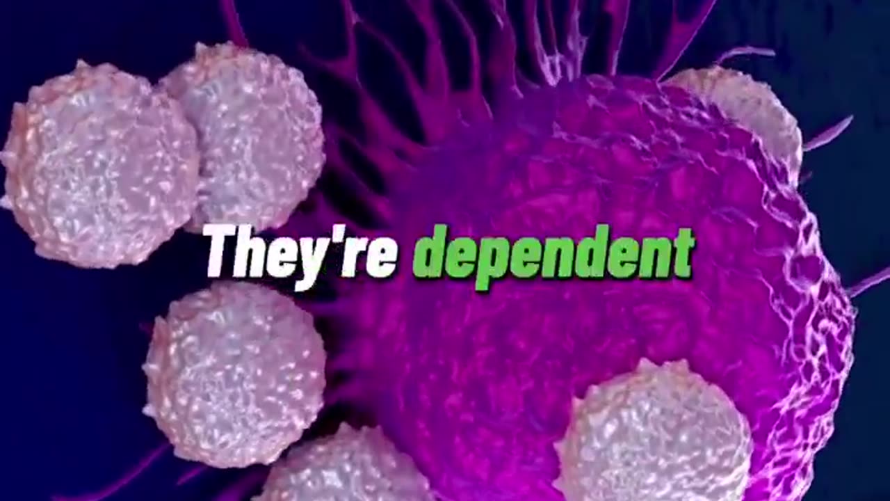 Cancer Is Largely Preventable—Here’s the Science-Backed Solution