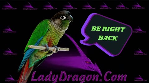 #LIVE - LADYDRAGON= STATE DEPARTMENT PRESS CONFERENCE WITH TAMMY BRUCE FOR MARCH 21, 2025