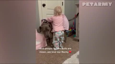30 Minutes of Cutest Baby and Dog Friendships Ever! 🐶👶❤️