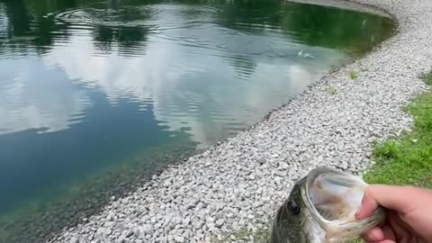 private pond with some big bass?