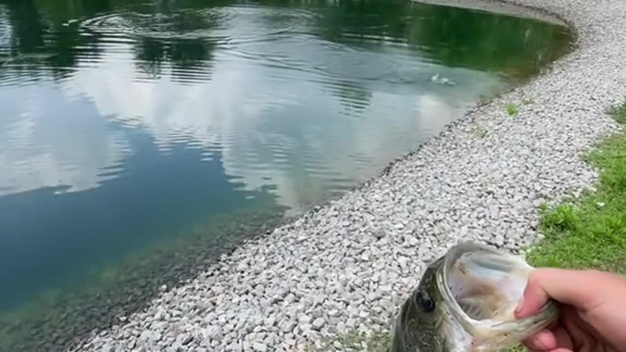 private pond with some big bass?