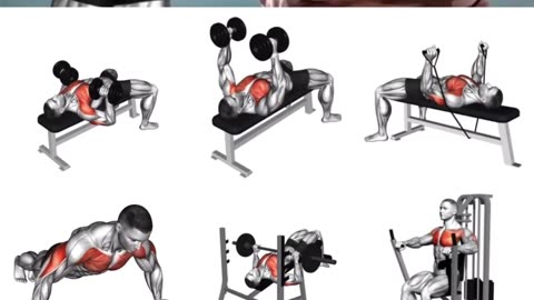 How to make six pack abssix pack kaise banaye six pack exercises at Homeabs workout shorts gym