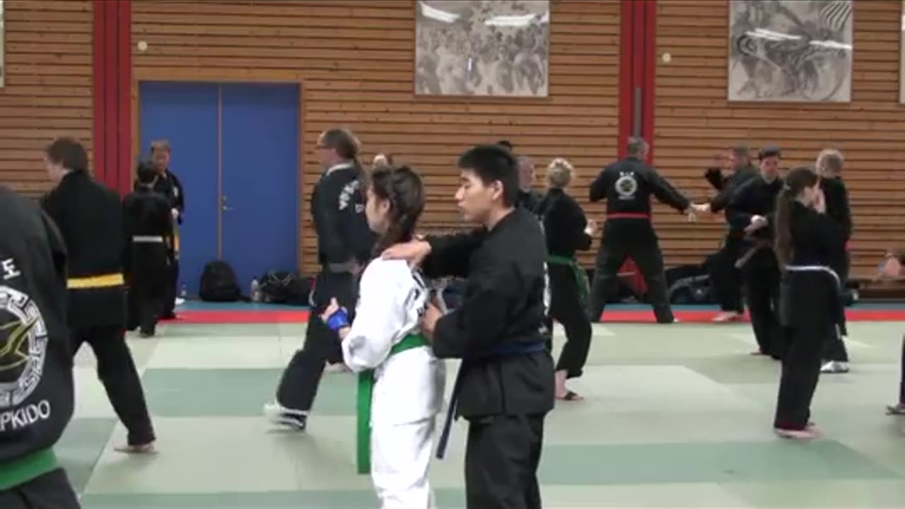 Hanminjok Hapkido