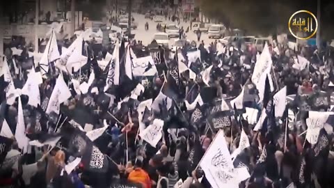 برقية عاجلة لسنا فئران تجارب