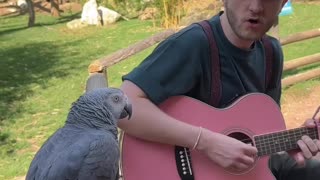 🎵𝄞 🦜 It's a Shit-Show Out There! 🎸 Here's Something POSITIVE to Get You Through the Day 🐘🦓