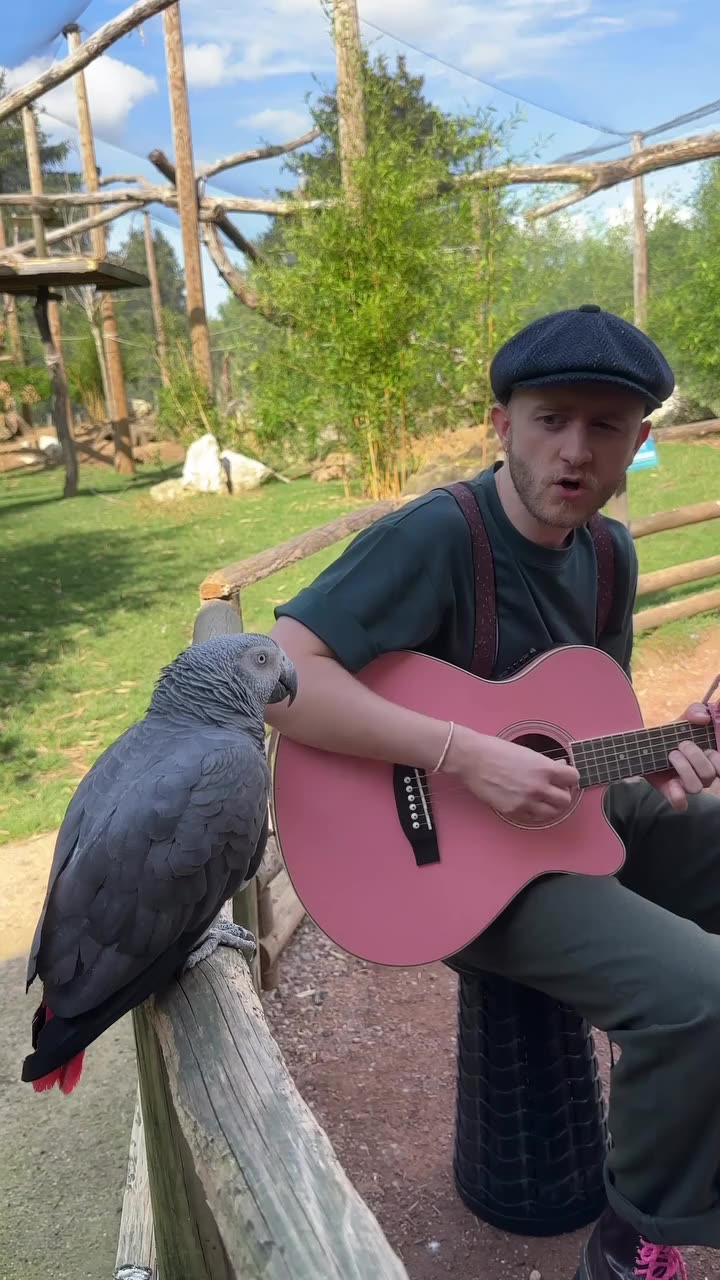 ๐ต๐ ๐ฆ Its a Shit-Show Out There! ๐ธ Heres Something POSITIVE to Get You Through the Day ๐๐ฆ