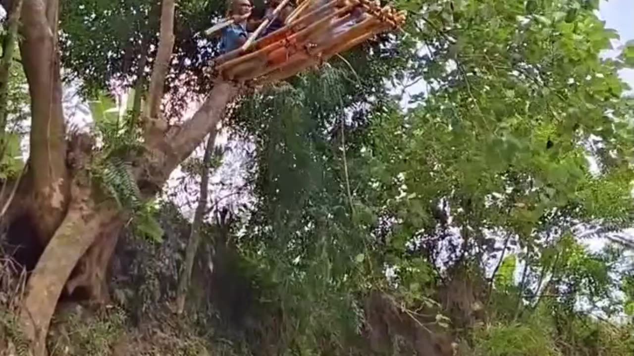 How to make a fighter plane at home 🤣🤣