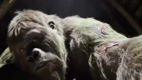"Tinku Yeti 🐵 vs Zombie Attack 🧟‍♂️ | Jungle Se Bhaagta Bandar!"
