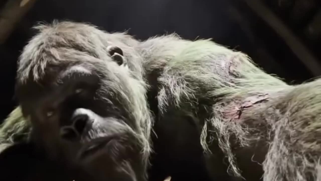 "Tinku Yeti 🐵 vs Zombie Attack 🧟♂️ | Jungle Se Bhaagta Bandar!"