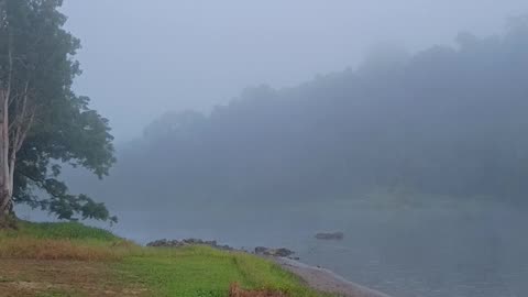11.9.2025 The Barron River Kuranda