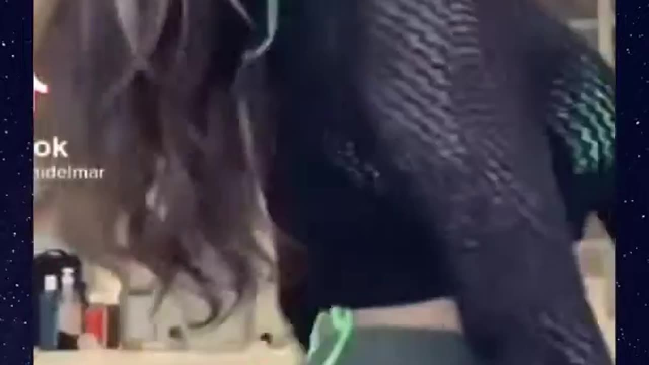 Big Bank Tiktok Challenge 🌶️🔥