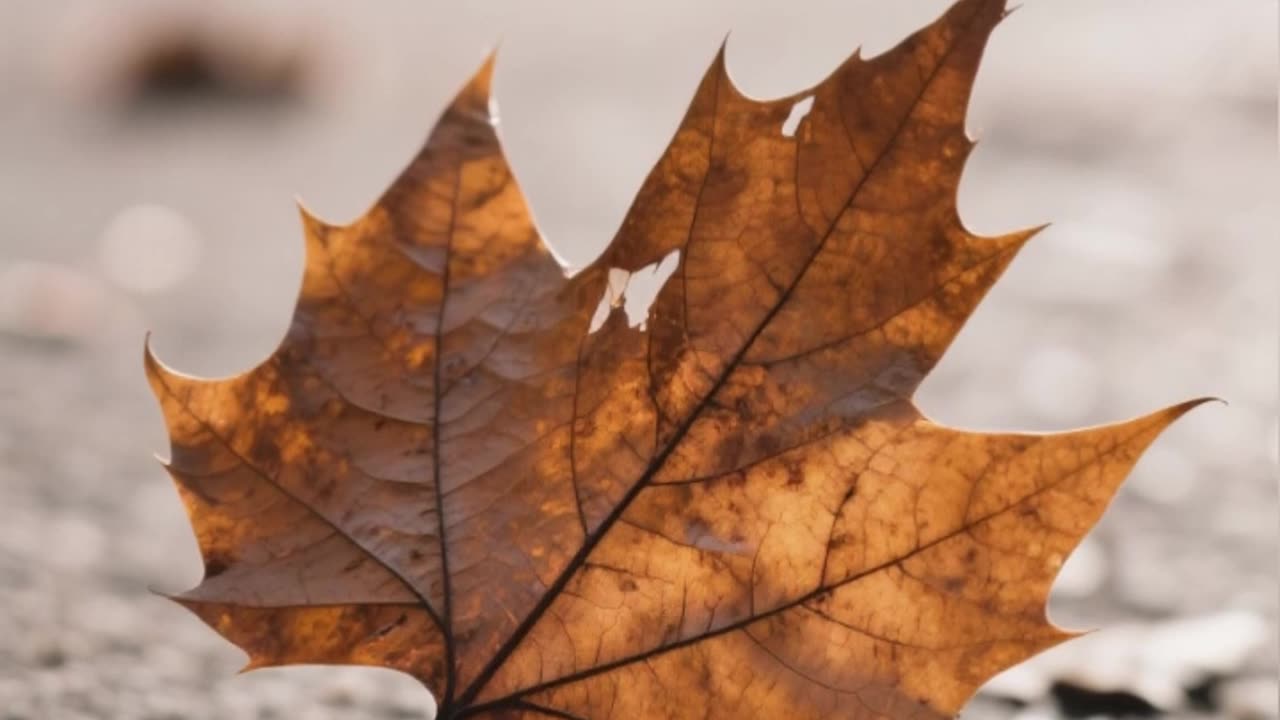 Can You Lower Your Body Temperature Using Only Thoughts?