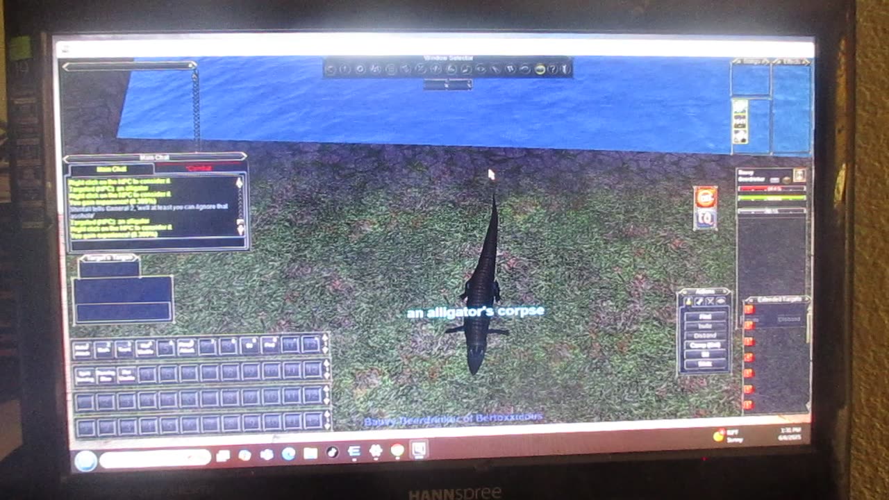 EverQuest: Hunting Alligators as a Bear. Friday, June 6, 2025.
