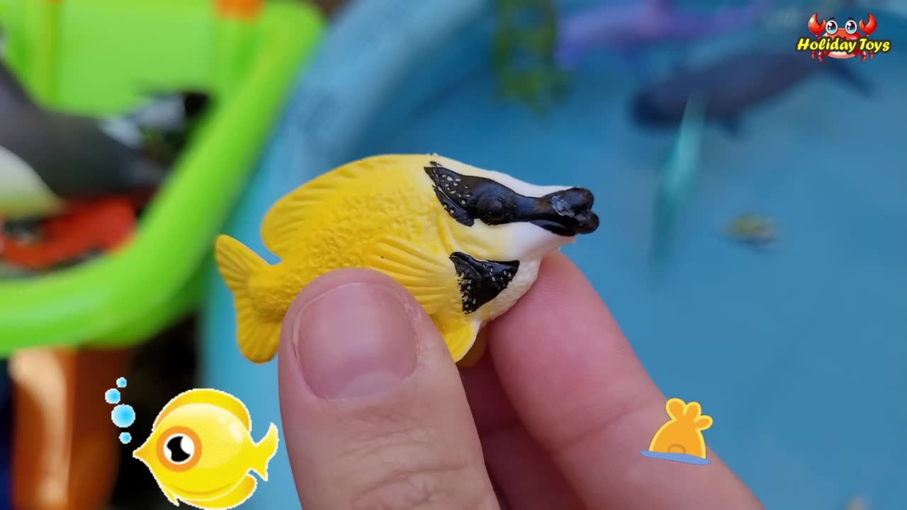 Seahorses Play with Crabs on the Rocks to Stay Safe