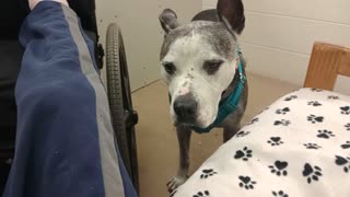 VID_20251123_112539434