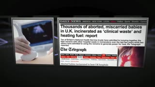 Alex Jones Show 24/7
