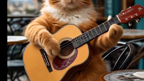 When a kitty wants to become a singer