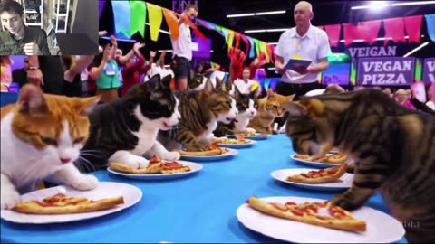 Outtake #1,173 Of The Cats Attempt The Vegan Pizza Eating Contest Fake Funny Parody Video