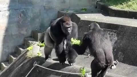 The way to a man’s heart is through his stomach