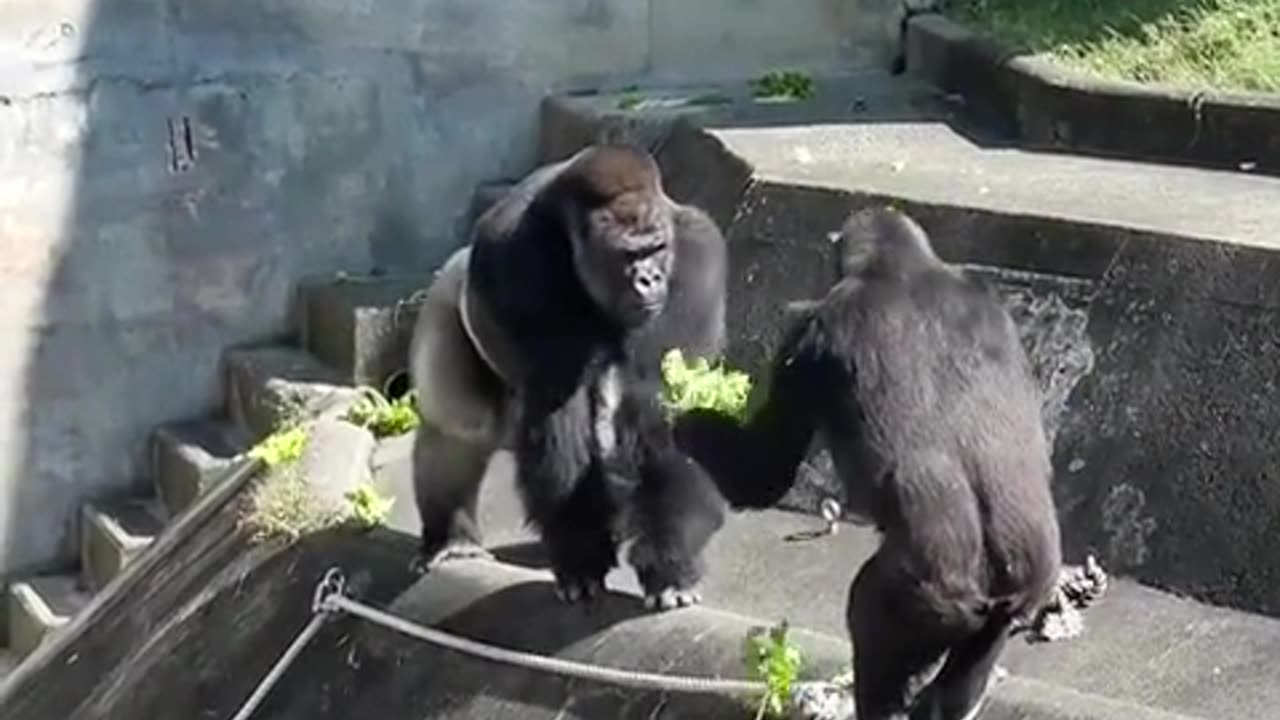 The way to a man’s heart is through his stomach