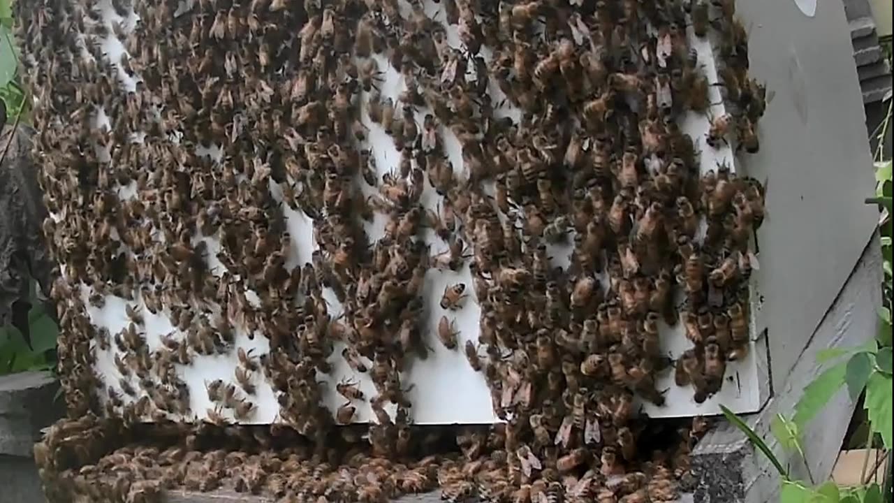 Monday Morning Sunrise