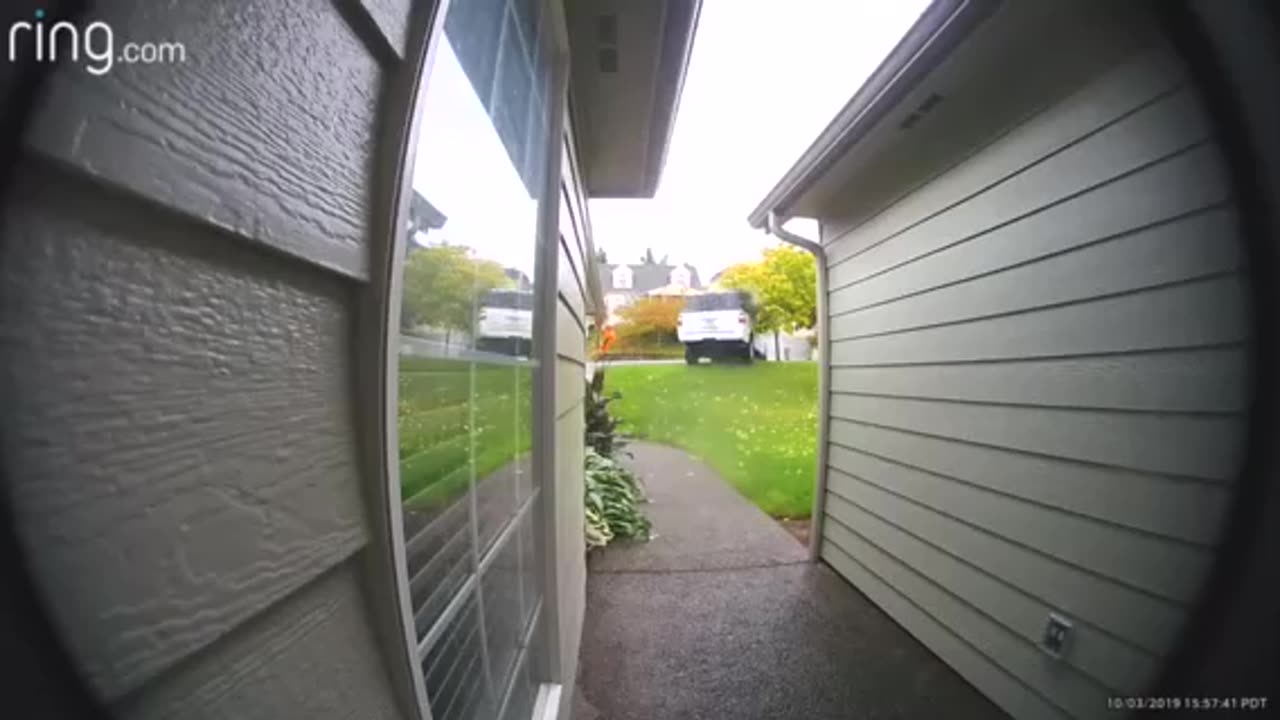 When the Neighbors Let Their Teenagers Drive