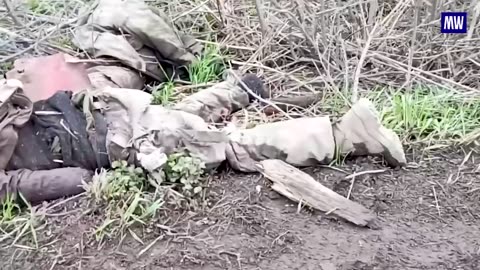 War in ukraine