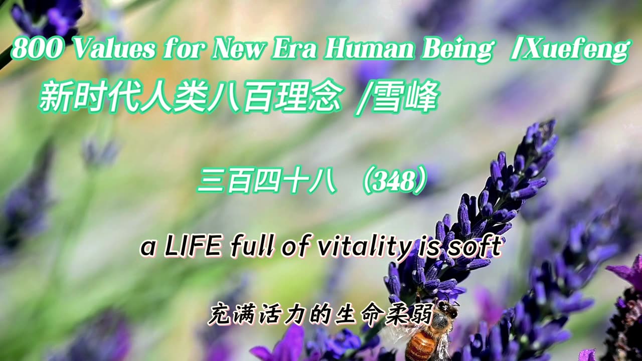 800 Values for New Era Human Being（348）