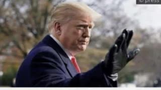 13026 Terry's Political TRIGGER WARNING!