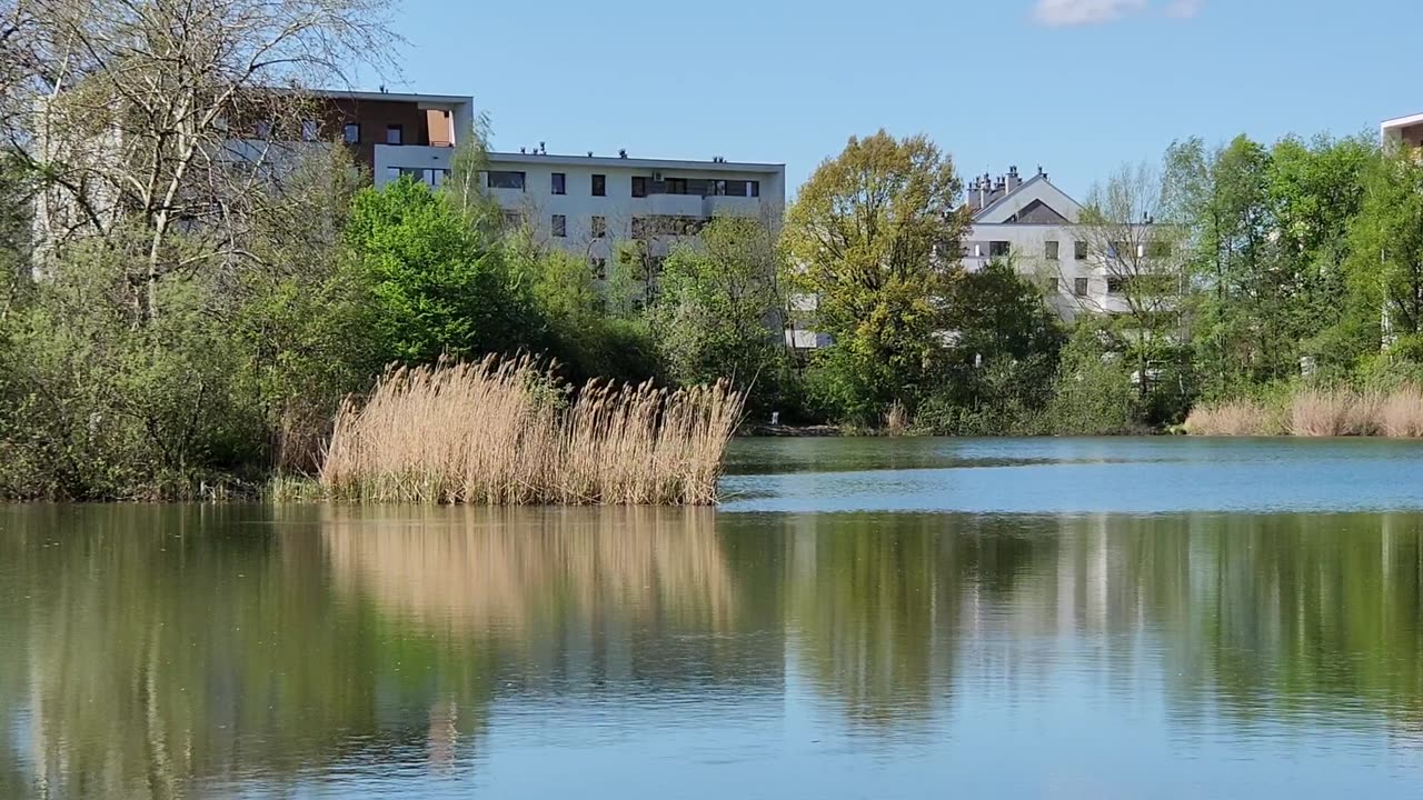 SM-Wielkanoc 2025 staw wiersze
