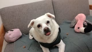 VID_20251123_143415102