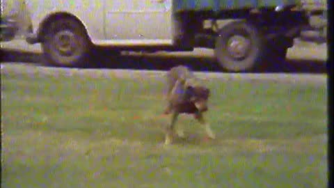 El bromista (Mario David, 1981) - Película completa