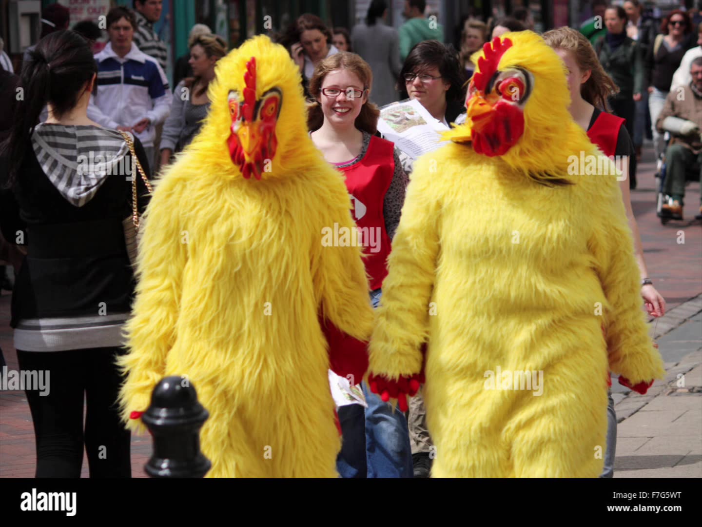 Mellow Sounds for a Modern Audience 🎶