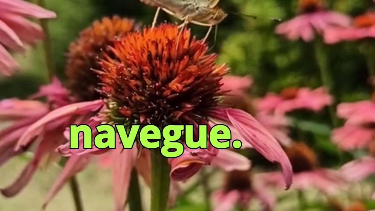 😊 156 TU INTENCIÓN ES EL TIMÓN QUE… 😊