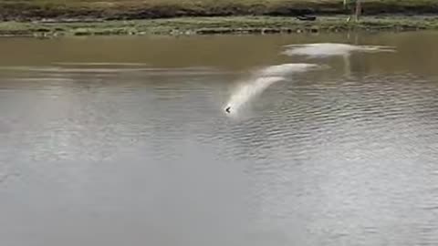 Pro Rock Lake Skipping