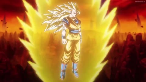 DB daima voiceover