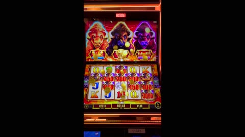 Buffalo Gold Cash Collection